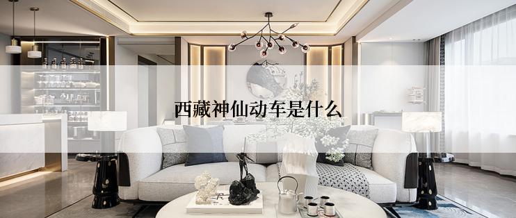 西藏神仙动车是什么