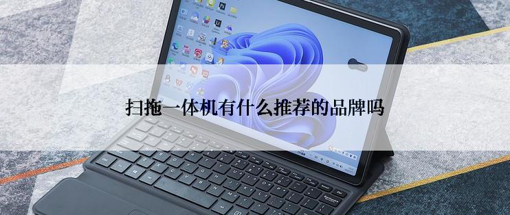 扫拖一体机有什么推荐的品牌吗