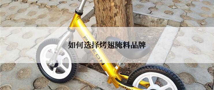 如何选择烤翅腌料品牌