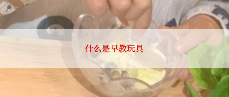 什么是早教玩具