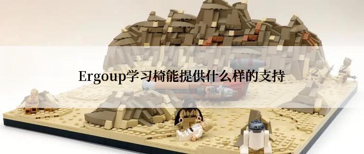 Ergoup学习椅能提供什么样的支持