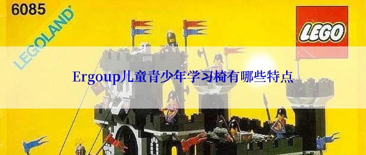 Ergoup儿童青少年学习椅有哪些特点