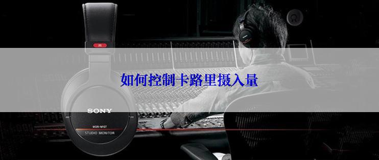 如何控制卡路里摄入量