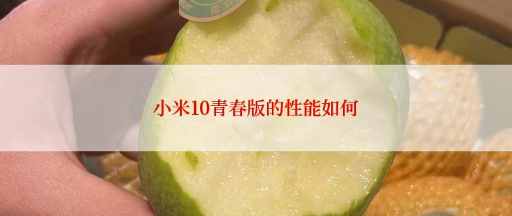小米10青春版的性能如何
