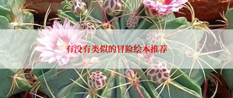 有没有类似的冒险绘本推荐