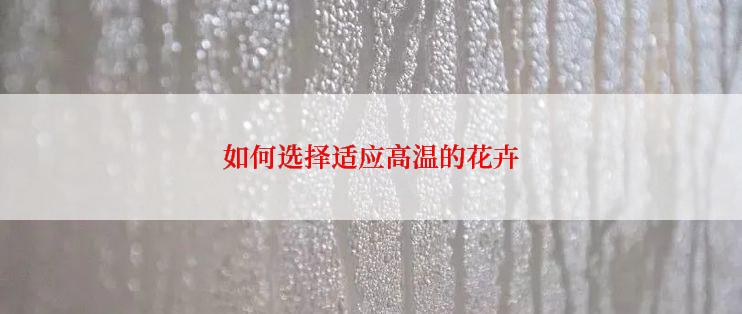 如何选择适应高温的花卉