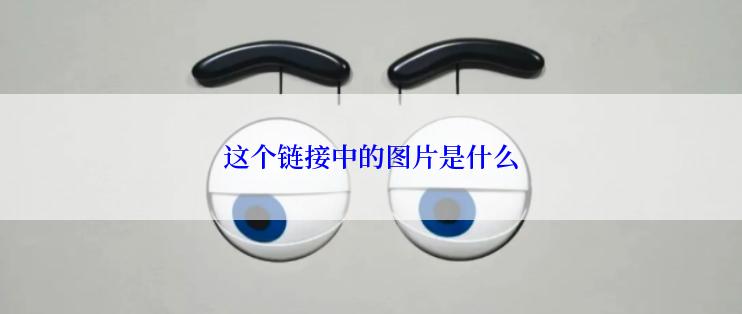 这个链接中的图片是什么