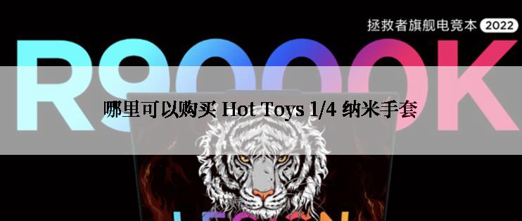 哪里可以购买 Hot Toys 1/4 纳米手套