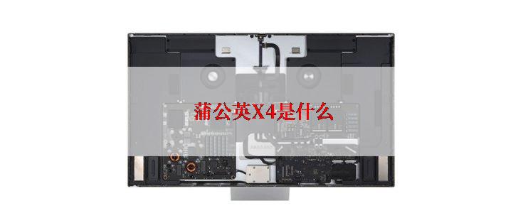 蒲公英X4是什么