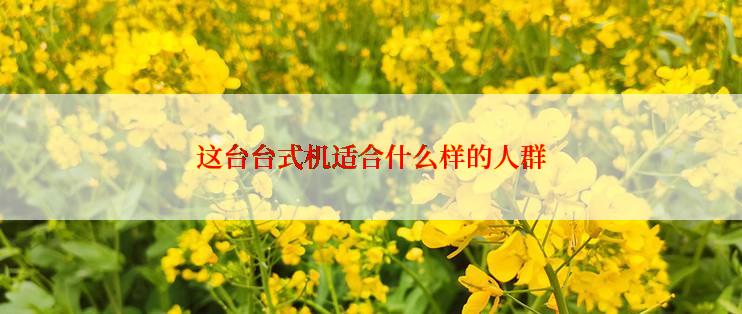 这台台式机适合什么样的人群