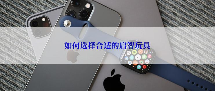 如何选择合适的启智玩具