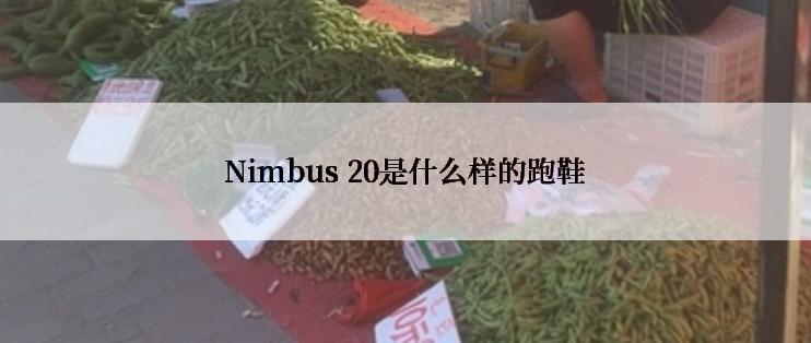 Nimbus 20是什么样的跑鞋