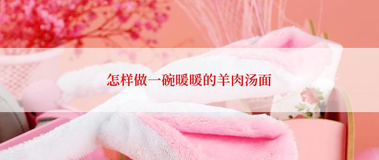 怎样做一碗暖暖的羊肉汤面