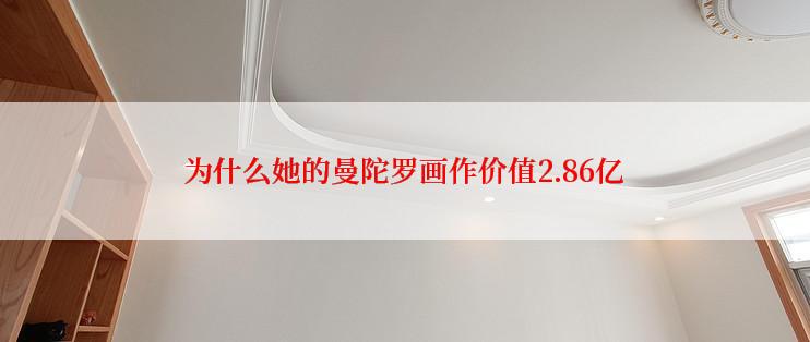 为什么她的曼陀罗画作价值2.86亿
