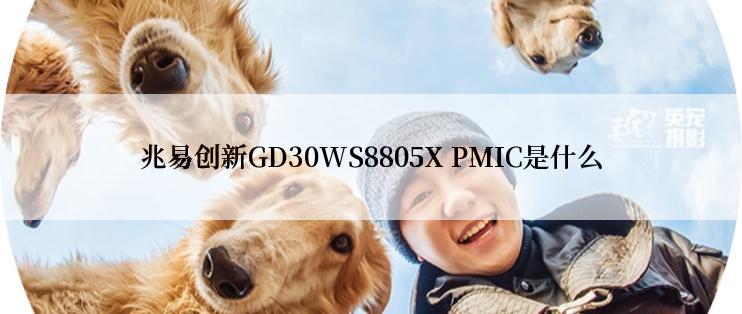 兆易创新GD30WS8805X PMIC是什么