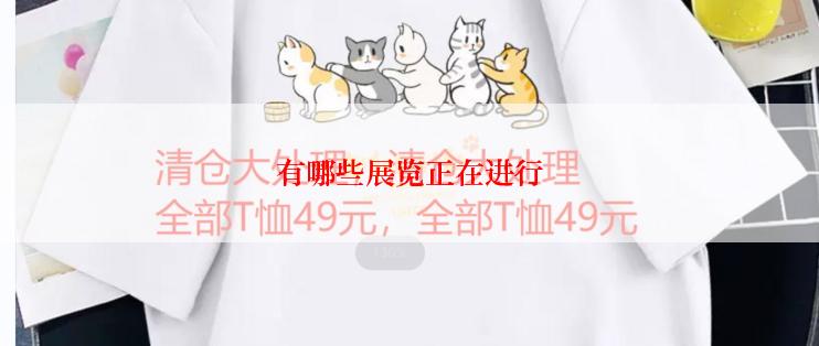 有哪些展览正在进行