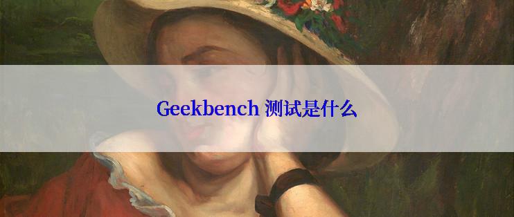 Geekbench 测试是什么