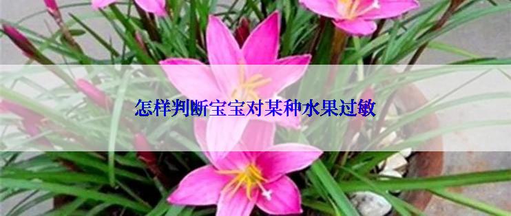 怎样判断宝宝对某种水果过敏