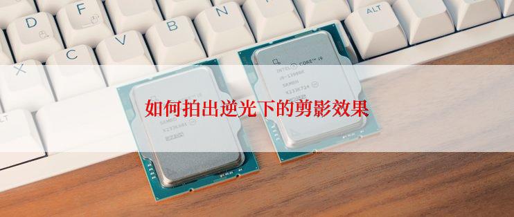 如何拍出逆光下的剪影效果