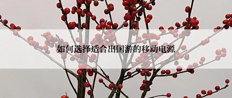 如何选择适合出国游的移动电源