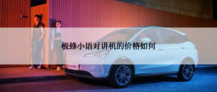 极蜂小语对讲机的价格如何