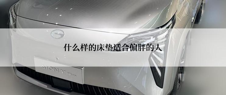 什么样的床垫适合偏胖的人