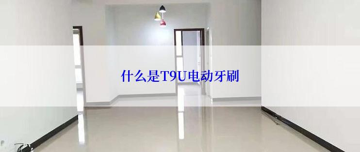 什么是T9U电动牙刷