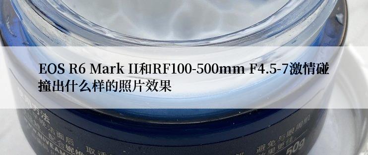EOS R6 Mark II和RF100-500mm F4.5-7激情碰撞出什么样的照片效果