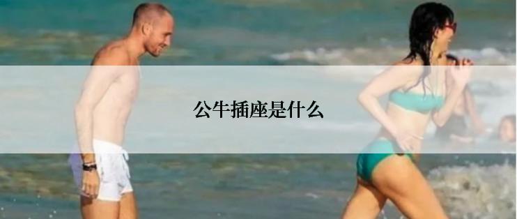 公牛插座是什么