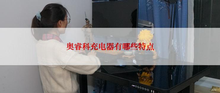 奥睿科充电器有哪些特点