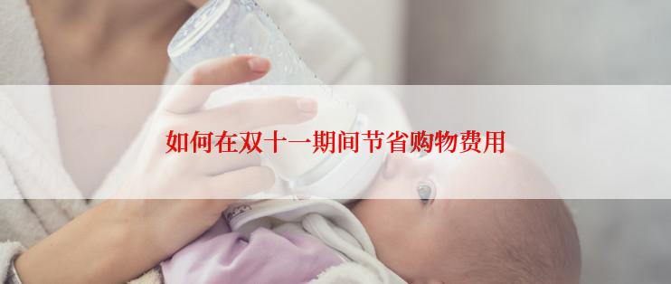 如何在双十一期间节省购物费用