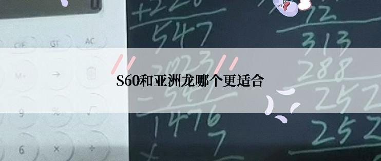 S60和亚洲龙哪个更适合