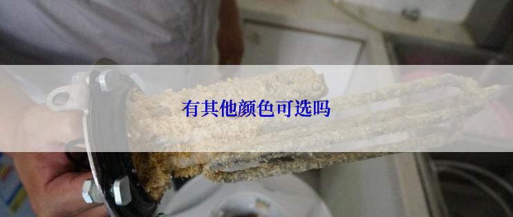 有其他颜色可选吗