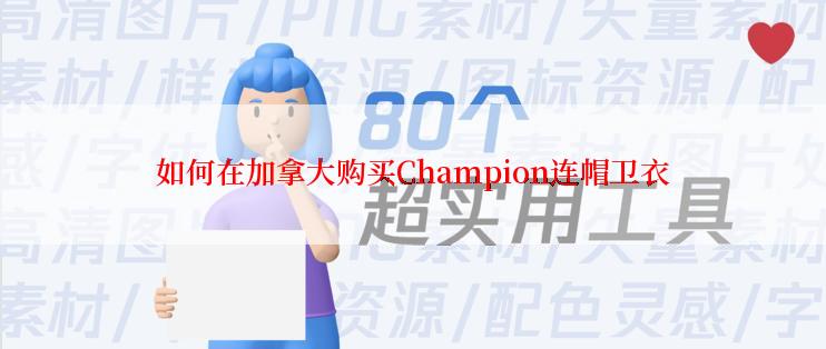 如何在加拿大购买Champion连帽卫衣