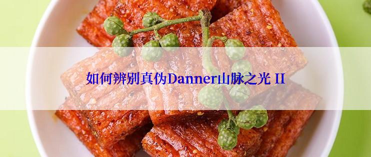 如何辨别真伪Danner山脉之光 II
