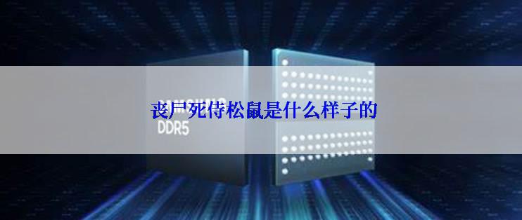  丧尸死侍松鼠是什么样子的