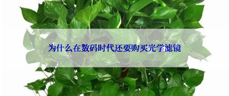 为什么在数码时代还要购买光学滤镜
