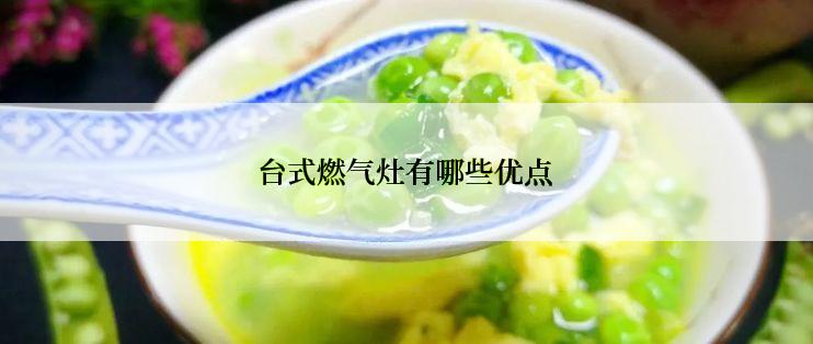 台式燃气灶有哪些优点