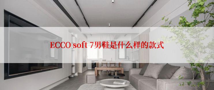 ECCO soft 7男鞋是什么样的款式