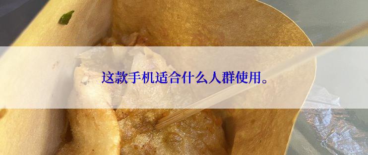 这款手机适合什么人群使用。
