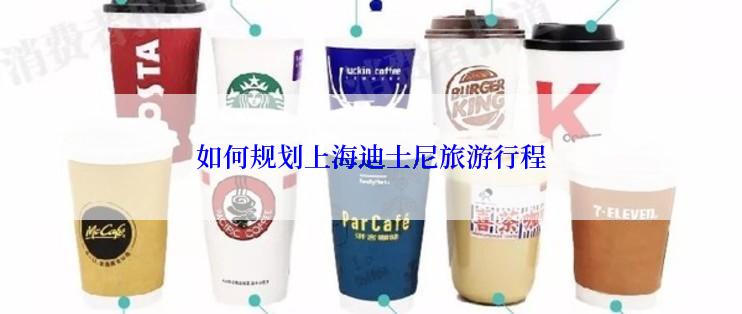 如何规划上海迪士尼旅游行程