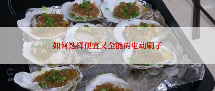 如何选择便宜又全能的电动刷子