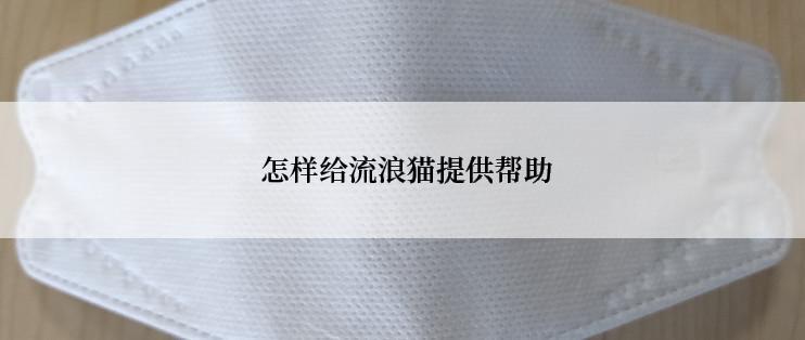  怎样给流浪猫提供帮助