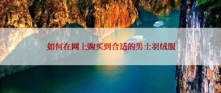  如何在网上购买到合适的男士羽绒服