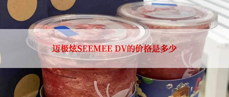 迈极炫SEEMEE DV的价格是多少