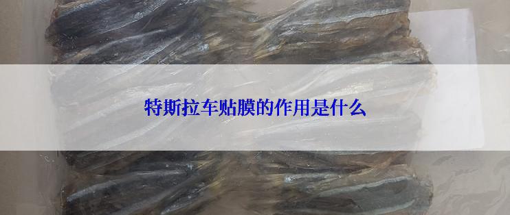 特斯拉车贴膜的作用是什么