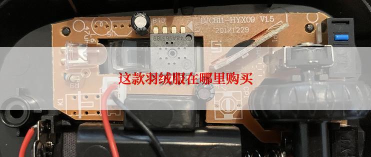 这款羽绒服在哪里购买