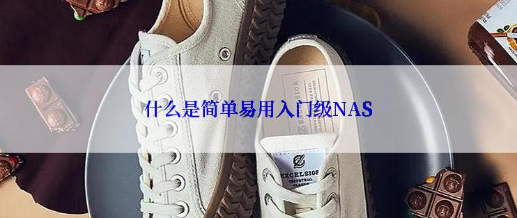 什么是简单易用入门级NAS
