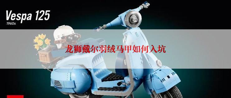 龙狮戴尔羽绒马甲如何入坑