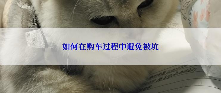 如何在购车过程中避免被坑